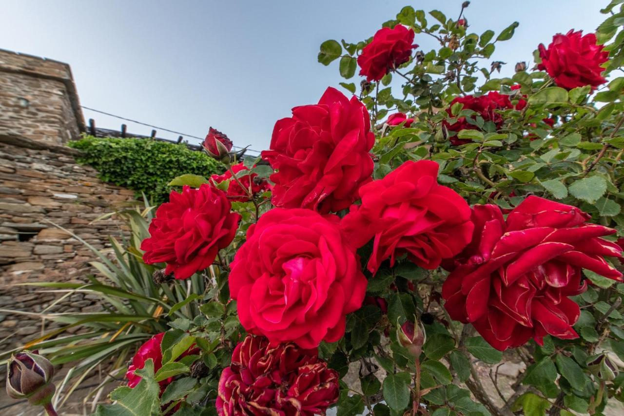 Villa Ghisi Arnados Dış mekan fotoğraf